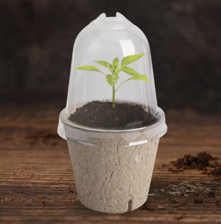 Maple Mart Biodegradable Seed Starter Pots
